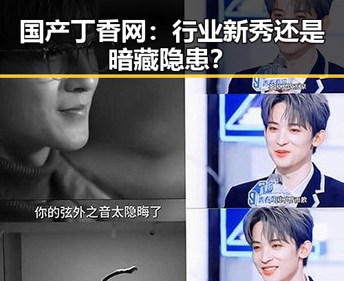 国产丁香网：行业新秀还是暗藏隐患？