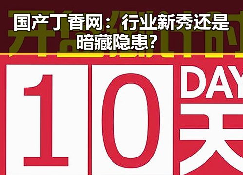 国产丁香网：行业新秀还是暗藏隐患？