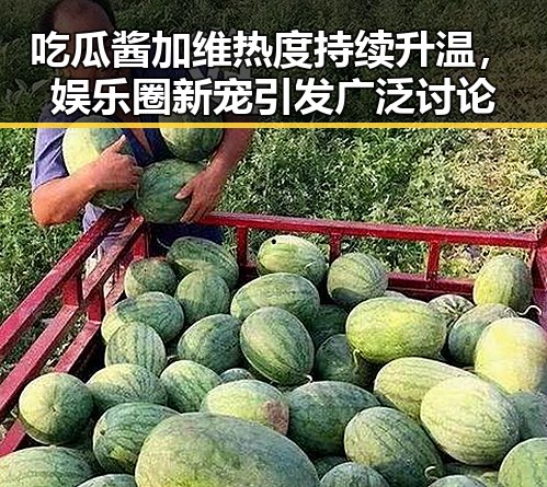 吃瓜酱加维热度持续升温，娱乐圈新宠引发广泛讨论