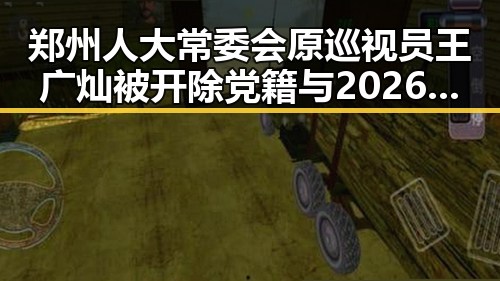 郑州人大常委会原巡视员王广灿被开除党籍与2026年度电影《给阿嬷的情书》全球上映引发关注