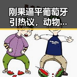 刚果逼平葡萄牙引热议,动物园年薪十万招黑熊扮演越抽象越受欢迎