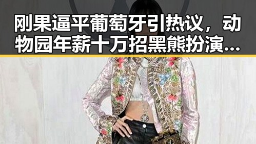 刚果逼平葡萄牙引热议,动物园年薪十万招黑熊扮演越抽象越受欢迎