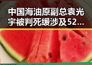 中国海油原副总袁光宇被判死缓涉及52亿余元非法收受财物同时公安机关恶意假冒公安APP事件引发关注