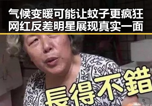 气候变暖可能让蚊子更疯狂 网红反差明星展现真实一面