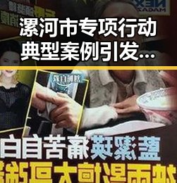 漯河市专项行动典型案例引发关注，网红反差明星在娱乐圈掀起新讨论
