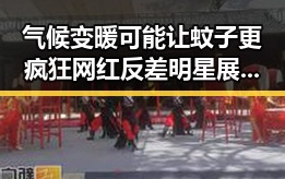 气候变暖可能让蚊子更疯狂 网红反差明星展现真实一面