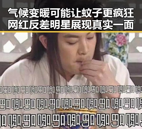 气候变暖可能让蚊子更疯狂 网红反差明星展现真实一面