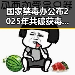 国家禁毒办公布2025年共破获毒品犯罪案件2.7万起 伊朗外长宣布伊美谅解备忘录将在瑞士签署引发关注