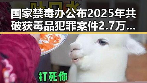 国家禁毒办公布2025年共破获毒品犯罪案件2.7万起 伊朗外长宣布伊美谅解备忘录将在瑞士签署引发关注