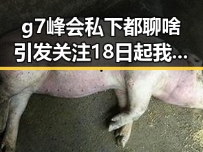 g7峰会私下都聊啥引发关注 18日起我国主雨带北抬影响江南天气变化