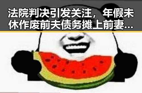 法院判决引发关注,年假未休作废前夫债务摊上前妻的背后故事揭示家庭财务新难题